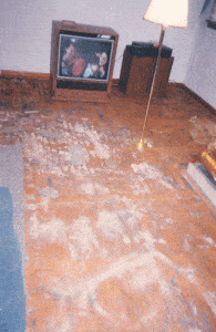 before-wood-floor-installation