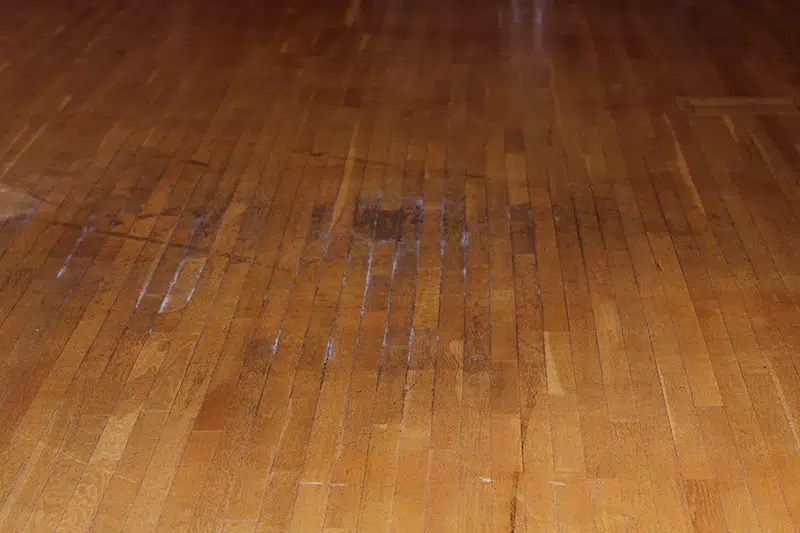 scratched-woof-floor-before