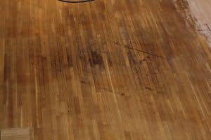 scratched-woof-floor-before