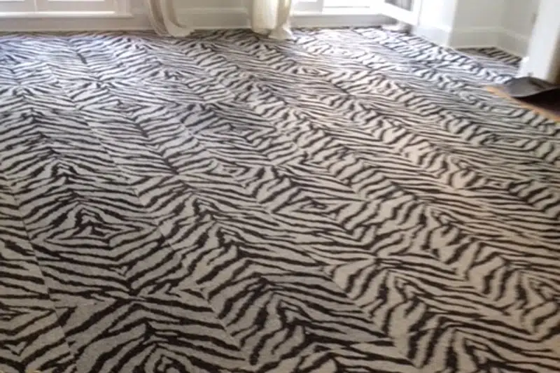 zebra-striped-carpet-before