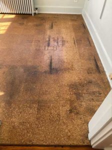 Cork-floor-Before-picture